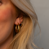 CAMI Hoops